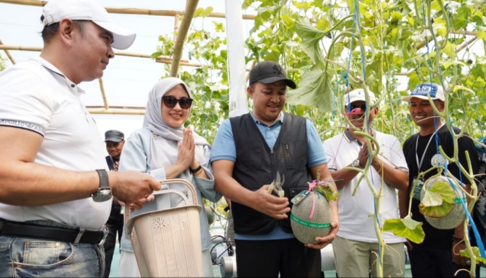 Bupati Pasuruan Rusdi Sutejo saat menghadiri panen raya melon hidroponik BUMDes Sari Mandiri di Greenhouse Melon Desa Nogosari, Pandaan.