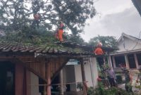 Tim BPBD Lumajang melakukan asesmen kerusakan rumah warga terdampak angin kencang.