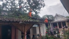 Tim BPBD Lumajang melakukan asesmen kerusakan rumah warga terdampak angin kencang.