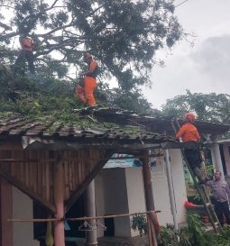 BPBD Lumajang Tangani Kerusakan Akibat Angin Kencang di Klakah dan Salurkan Bantuan ke Gucialit