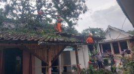 Tim BPBD Lumajang melakukan asesmen kerusakan rumah warga terdampak angin kencang.