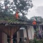 Tim BPBD Lumajang melakukan asesmen kerusakan rumah warga terdampak angin kencang.