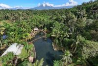 Suasana kolam alami Banyu Kuwung yang dikelilingi pepohonan rimbun di lereng Gunung Ijen.