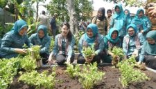 Ketua TP PKK Jawa Timur Arumi Bachsin bersama TP PKK Bangkalan saat menghadiri kegiatan Petik Hasil Kampung Aku Hatinya PKK di Kelurahan Kemayoran.