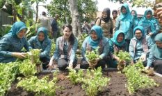 Program Aku Hatinya PKK Diperkuat, Bangkalan Jadi Lokasi Percontohan