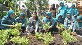 Ketua TP PKK Jawa Timur Arumi Bachsin bersama TP PKK Bangkalan saat menghadiri kegiatan Petik Hasil Kampung Aku Hatinya PKK di Kelurahan Kemayoran.