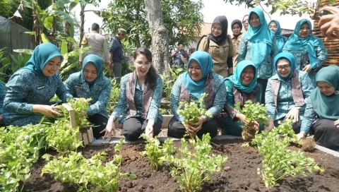 Ketua TP PKK Jawa Timur Arumi Bachsin bersama TP PKK Bangkalan saat menghadiri kegiatan Petik Hasil Kampung Aku Hatinya PKK di Kelurahan Kemayoran.