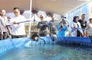 Wali Kota Probolinggo dr. Aminuddin saat dengan pembudidaya ikan pada kegiatan sosialisasi NTPi di Pokdakan Mina Lestari Sentosa, Jrebeng Lor.