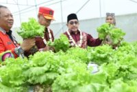 Wakil Bupati Sumenep KH. Imam Hasyim saat peresmian Kawasan Smart Farming Hortikultura di Desa Kasengan, Kecamatan Manding, Kamis (18/12/2025).