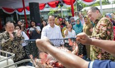 Pemkot Surabaya Panen Perdana Ikan Nila Hasil Program Hibah Australia