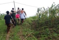 Warga harus bergotong royong memikul orang sakit untuk dibawa ke Puskesmas karena akses mobil sama sekali tidak memungkinkan.