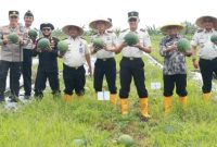 Wakil Bupati Banyuwangi Mujiono bersama jajaran Ditjen Pemasyarakatan saat panen raya semangka di Lahan SAE Lapas Banyuwangi.