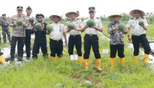 Wakil Bupati Banyuwangi Mujiono bersama jajaran Ditjen Pemasyarakatan saat panen raya semangka di Lahan SAE Lapas Banyuwangi.