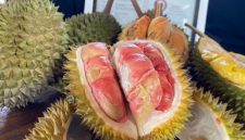 Durian Merah Banyuwangi yang diterbitkan Kementerian Hukum.