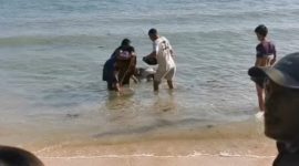 Warga mengevakuasi jenazah pria tanpa identitas yang ditemukan di pesisir Pantai Sepanjang, Kecamatan Sapeken, Kabupaten Sumenep.