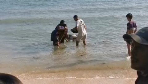 Warga mengevakuasi jenazah pria tanpa identitas yang ditemukan di pesisir Pantai Sepanjang, Kecamatan Sapeken, Kabupaten Sumenep.