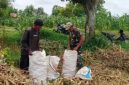 Babinsa Koramil 0827/12 Dasuk, Serka M. Umar, mendampingi petani saat panen jagung di Desa Slopeng, Kecamatan Dasuk, Kabupaten Sumenep, Jumat (6/2/2026).