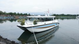  survei Katamaran X38