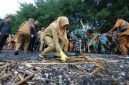 Bupati Banyuwangi Ipuk Fiestiandani bersama jajaran Forkopimda dan ribuan peserta melakukan aksi bersih pantai usai deklarasi Banyuwangi ASRI di Grand Watu Dodol.
