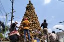 Gunungan durian dipajang di halaman Balai Desa Kronto, Kecamatan Lumbang, Kabupaten Pasuruan dalam rangka selamatan desa yang dihadiri warga dan Bupati Pasuruan.