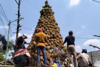 Gunungan durian dipajang di halaman Balai Desa Kronto, Kecamatan Lumbang, Kabupaten Pasuruan dalam rangka selamatan desa yang dihadiri warga dan Bupati Pasuruan.