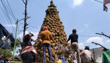 Gunungan durian dipajang di halaman Balai Desa Kronto, Kecamatan Lumbang, Kabupaten Pasuruan dalam rangka selamatan desa yang dihadiri warga dan Bupati Pasuruan.