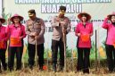 Kapolres Sumenep AKBP Anang Hardiyanto bersama Bhayangkari dan pejabat utama saat melakukan penanaman jagung serentak di Desa Paberasan, Kamis (9/4/2026).