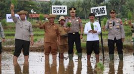 Kapolres Sumenep bersama jajaran dan DKPP Sumenep serta petani melakukan penanaman padi dan jagung hibrida secara simbolis di Desa Legung Barat, Kecamatan Batang-Batang.