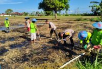 Aiptu Nur Yusuf bersama petani saat melakukan penanaman jagung di lahan pertanian Desa Braji, Kecamatan Gapura, Sumenep.