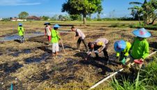 Aiptu Nur Yusuf bersama petani saat melakukan penanaman jagung di lahan pertanian Desa Braji, Kecamatan Gapura, Sumenep.
