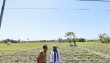 Bupati Banyuwangi bersama Petugas BPBD saat melakukan pemantauan wilayah rawan kekeringan sebagai langkah antisipasi dampak kemarau panjang.