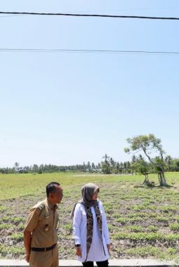 Banyuwangi Siaga Kemarau Panjang, BPBD Bentuk Satgas Antisipasi El Nino