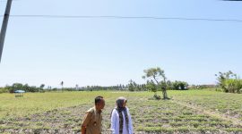 Bupati Banyuwangi bersama Petugas BPBD saat melakukan pemantauan wilayah rawan kekeringan sebagai langkah antisipasi dampak kemarau panjang.