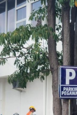 Anggaran Rehabilitasi MPP Bale Madukara Purwakarta Disorot, Warga Pertanyakan Prioritas