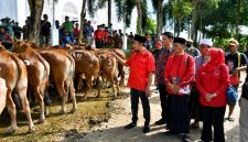Bupati Sumenep Dr. H. Achmad Fauzi Wongsojudo, SH, MH saat mendampingi penyaluran hewan kurban program MH Said Abdullah di Kecamatan Manding, Selasa (26/05/2026).