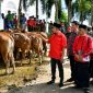 Bupati Sumenep Dr. H. Achmad Fauzi Wongsojudo, SH, MH saat mendampingi penyaluran hewan kurban program MH Said Abdullah di Kecamatan Manding, Selasa (26/05/2026).