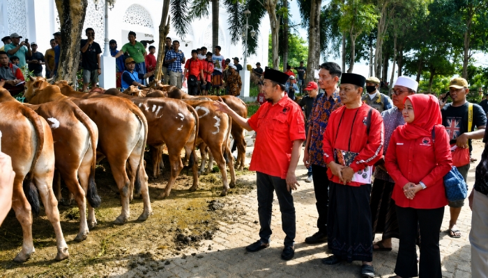 Bupati Sumenep Dr. H. Achmad Fauzi Wongsojudo, SH, MH saat mendampingi penyaluran hewan kurban program MH Said Abdullah di Kecamatan Manding, Selasa (26/05/2026).