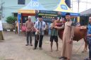 Kodim 0827/Sumenep melaksanakan penyembelihan hewan kurban di Makodim 0827/Sumenep dalam rangka Hari Raya Idul Adha 1447 Hijriah, Rabu (27/05/2026).