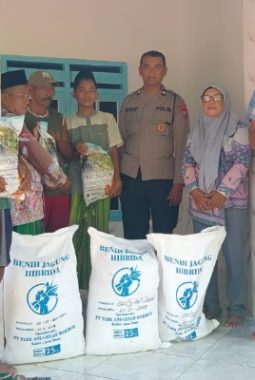 Polsek Gapura Salurkan Bibit Jagung Hibrida, Perkuat Ketahanan Pangan di Sumenep