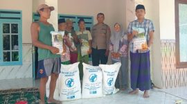 Ps. Kanit Binmas Polsek Gapura Aiptu Nur Yusuf, S.H., menyerahkan bantuan bibit jagung hibrida TB10 kepada Kelompok Tani Song Osong Lombung di Dusun Tolasan, Desa Grujugan, Kecamatan Gapura, Kabupaten Sumenep, sebagai bentuk dukungan terhadap program ketahanan pangan nasional, Sabtu (30/5/2026).