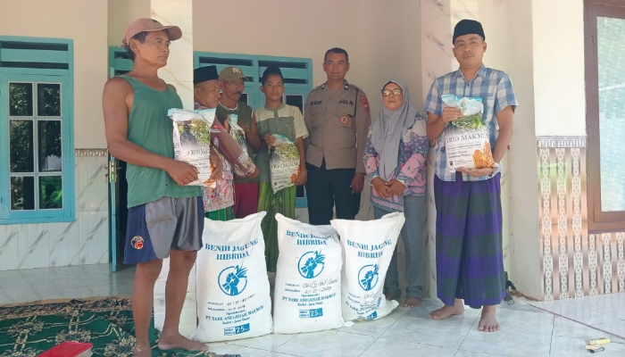 Ps. Kanit Binmas Polsek Gapura Aiptu Nur Yusuf, S.H., menyerahkan bantuan bibit jagung hibrida TB10 kepada Kelompok Tani Song Osong Lombung di Dusun Tolasan, Desa Grujugan, Kecamatan Gapura, Kabupaten Sumenep, sebagai bentuk dukungan terhadap program ketahanan pangan nasional, Sabtu (30/5/2026).