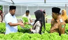 Bupati Sumenep Dorong Pengembangan Pertanian Hidroponik untuk Perkuat Ketahanan Pangan