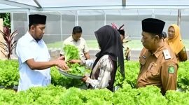 Bupati didampingi Kepala Dinas Ketahanan Pangan dan Pertanian (DKPP) Kabupaten Sumenep, Chainur Rasyid.