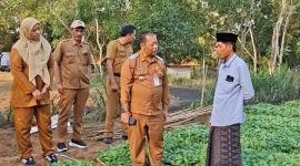 Kepala DKPP Kabupaten Sumenep, Chainur Rasyid, saat turun langsung meninjau lokasi persemaian bibit Prancak 95.