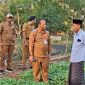 Kepala DKPP Kabupaten Sumenep, Chainur Rasyid, saat turun langsung meninjau lokasi persemaian bibit Prancak 95.