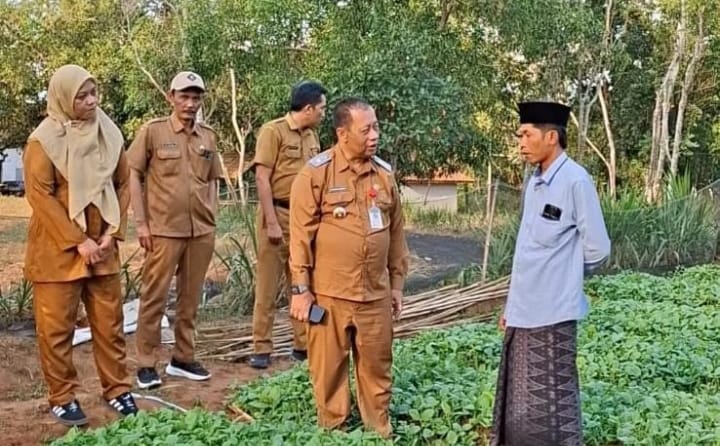 Kepala DKPP Kabupaten Sumenep, Chainur Rasyid, saat turun langsung meninjau lokasi persemaian bibit Prancak 95.
