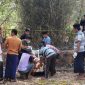 Saat jenazah korban dievakuasi petugas Puskesmas Batang-Batang untuk dibawa ke rumah duka di Desa Nyabakan Barat.