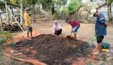 Pencampuran bahan kotoran ternak kambing, molase dan dekomposer dengan penambahan air sampai lembab. (Foto : POPT Perkebunan)