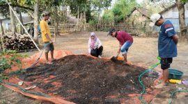 Pencampuran bahan kotoran ternak kambing, molase dan dekomposer dengan penambahan air sampai lembab. (Foto : POPT Perkebunan)