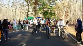 Bupati Banyuwangi Ipuk Fiestiandani bersepeda sekaligus meninjau aktivitas CFD Purwoharjo yang diramaikan sekitar 500 pelaku UMKM, Minggu (27/9/2026).